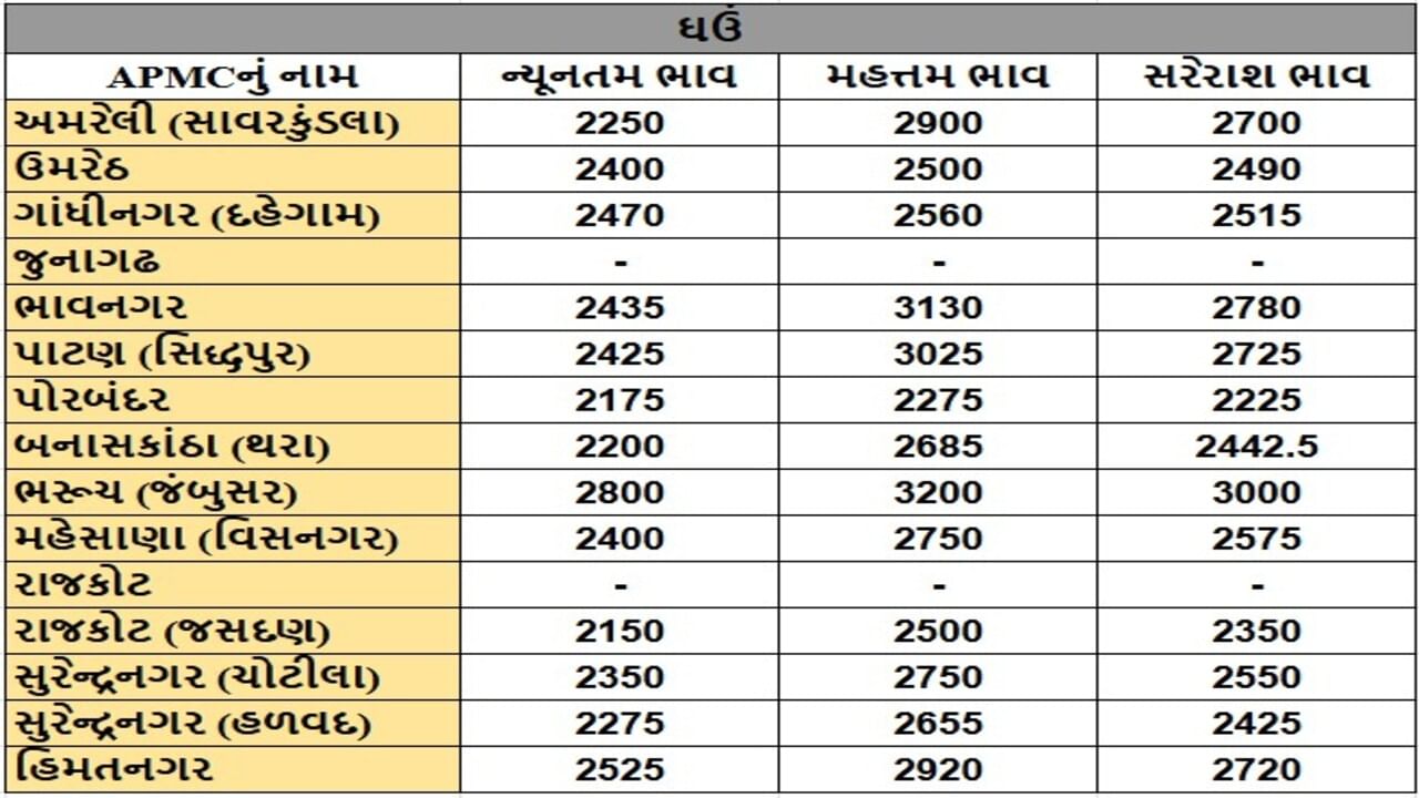 ઘઉંના તા.13-05-2025ના રોજ APMCના ભાવ રૂ.2150 થી 3200 રહ્યા.
