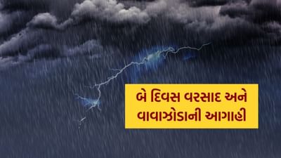 હવામાન વિભાગના જણાવ્યા મુજબ, 11 થી 13 મે, 2025 દરમિયાન રાજ્યના અનેક વિસ્તારોમાં કમોસમી વરસાદ સાથે વીજળી અને પવનની તીવ્ર ગતિ જોવા મળવાની સંભાવના છે. ખાસ કરીને રાજકોટ, જામનગર અને કચ્છ સહિત કુલ 35 જિલ્લાઓમાં યલો એલર્ટ જાહેર કરવામાં આવ્યું છે.