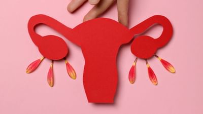 ઓવુલેશન (Ovulation)નો અર્થ છે જ્યારે મહિલાના અંડાશયમાંથી ઈંડું બહાર આવે છે. આ મહિલાના માસિક ચક્રનો એક મહત્વપૂર્ણ ભાગ છે. જ્યારે આ થાય છે ત્યારે મહિલાને ગર્ભધારણ કરવાની સૌથી વધારે સંભાવના હોય છે.