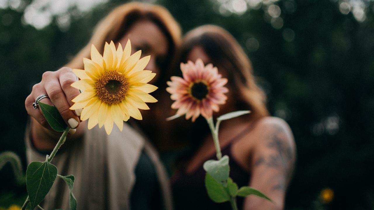  બ્રેસ્ટ કેન્સરનો સીધો સંબંધ હાઈજીન સાથે નથી પરંતુ બ્રેસ્ટની યોગ્ય દેખભાળ અને નિયમિત તપાસથી શરુઆતના લક્ષણો ઓળખવામાં મદદ મળી શકે છે.સાફ સફાઈ અને યોગ્ય કાળજી સાથે, તમે કોઈપણ રોગને વહેલા ઓળખી શકો છો અને સમયસર સારવાર મેળવી શકો છો.