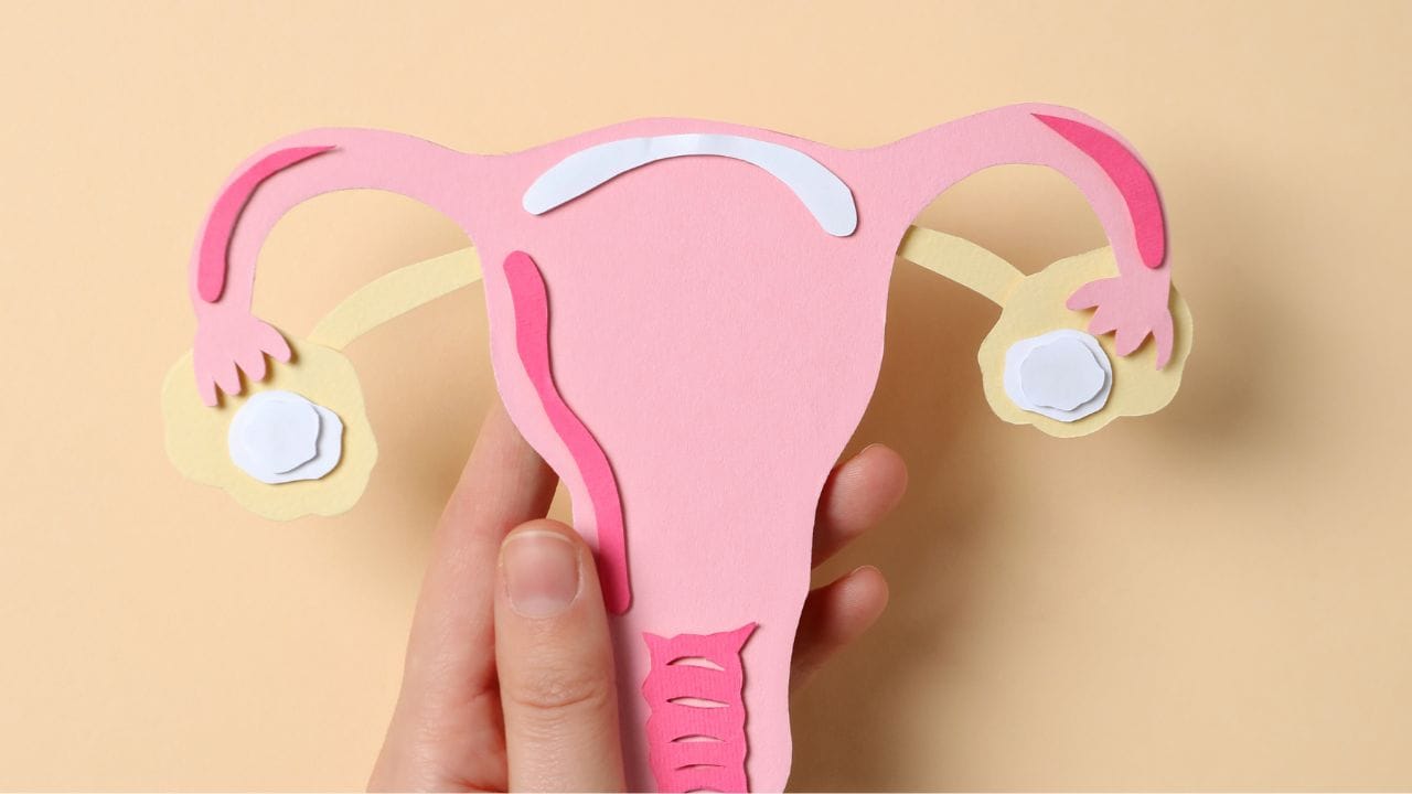 ટ્યુબરક્યુલોસિસની સમસ્યા ફેલોપિયન ટ્યુબ અને ગર્ભાશયને અસર કરે છે અને તેથી ગર્ભાવસ્થાની શક્યતા ઓછી થાય છે. જો ભૂતકાળમાં ફેલોપિયન ટ્યુબ પર સર્જરી થઈ હોય, તો આનાથી હાઇડ્રોસાલ્પિન્ક્સ થઈ શકે છે. આ ઉપરાંત, એક્ટોપિક ગર્ભાવસ્થામાં કરવામાં આવતું ઓપરેશન પણ હાઇડ્રોસાલ્પિંક્સના કારણોમાંનું એક છે.