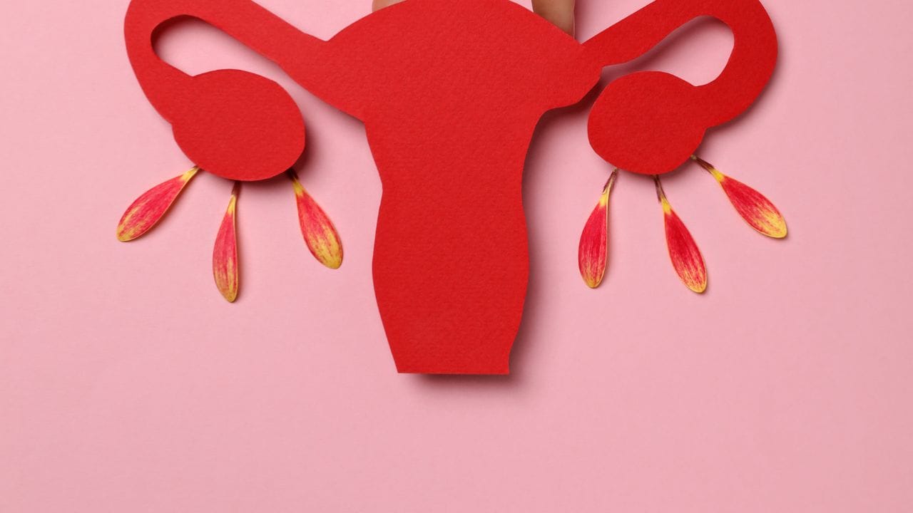 સ્ત્રીઓમાં વંધ્યત્વનું એક સામાન્ય કારણ હાઇડ્રોસાલ્પિંક્સની સમસ્યા છે,આ કિસ્સાઓમાં, IVF ની ભલામણ કરવામાં આવે છે પરંતુ તે સંપૂર્ણપણે સફળ થતી નથી અને તેનો સફળતા દર 20 થી 25 ટકા છે!