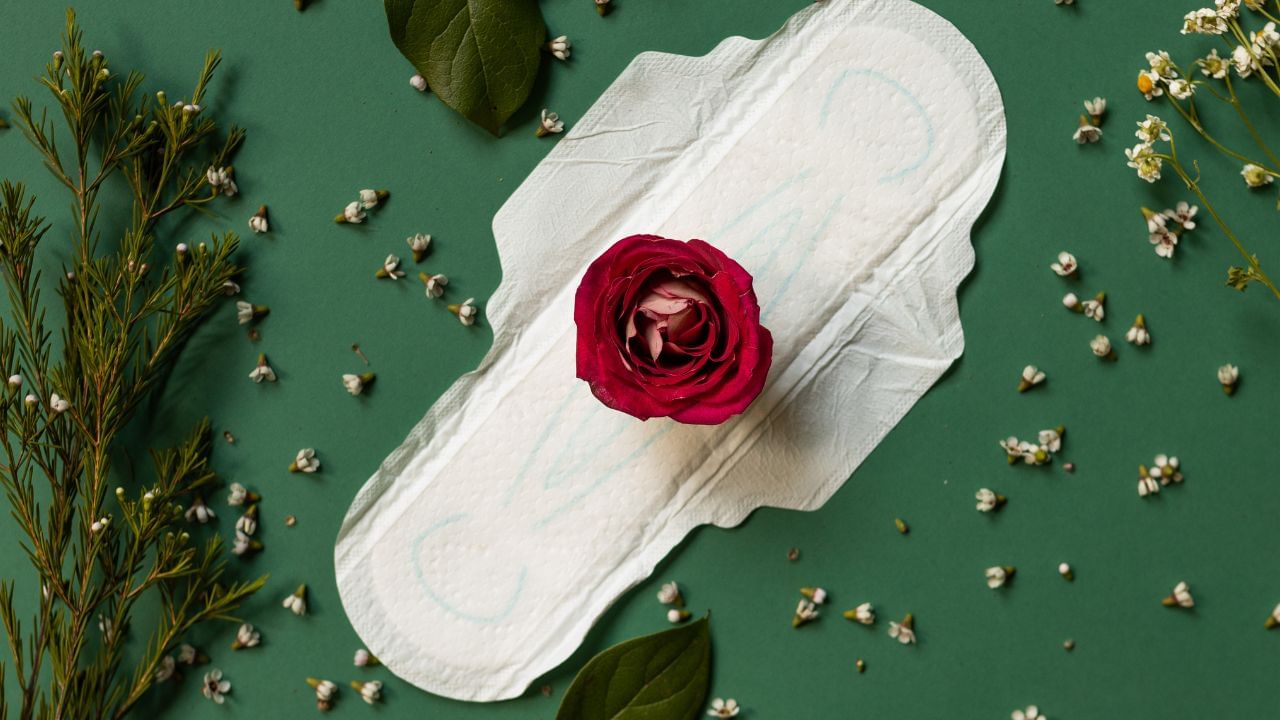 નોંધ : અહીં આપવામાં આવેલી માહિતી ફક્ત આપની જાણકારી માટે છે. કોઈ પણ ઈલાજ કરતાં પહેલા કે,અમલમાં લેતા પહેલા નિષ્ણાતોની સલાહ લેવી જરુરી છે. ( all photo:canva)