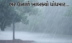 રાજકોટ પંથકમાં ધોધમાર વરસાદ, ખેડૂતોના ઉભા પાકને નુકસાનીની ભીતિ- Video રાજકોટ પંથકમાં ધોધમાર વરસાદ, ખેડૂતોના ઉભા પાકને નુકસાનીની ભીતિ- Video