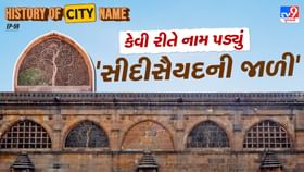 સીદીસૈયદની જાળી નામ પાછળનો શું છે ઈતિહાસ, જાણો સમસ્ત વાર્તા સીદીસૈયદની જાળી નામ પાછળનો શું છે ઈતિહાસ, જાણો સમસ્ત વાર્તા