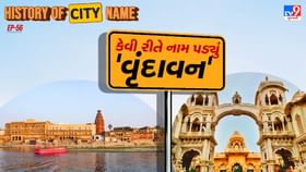 વૃંદાવનના નામ પાછળનો શું છે ઈતિહાસ, જાણો સમસ્ત વાર્તા વૃંદાવનના નામ પાછળનો શું છે ઈતિહાસ, જાણો સમસ્ત વાર્તા