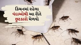 Kitchen Hacks : કિચનમાંથી વંદાઓને આ રીતે ભગાડો Kitchen Hacks : કિચનમાંથી વંદાઓને આ રીતે ભગાડો