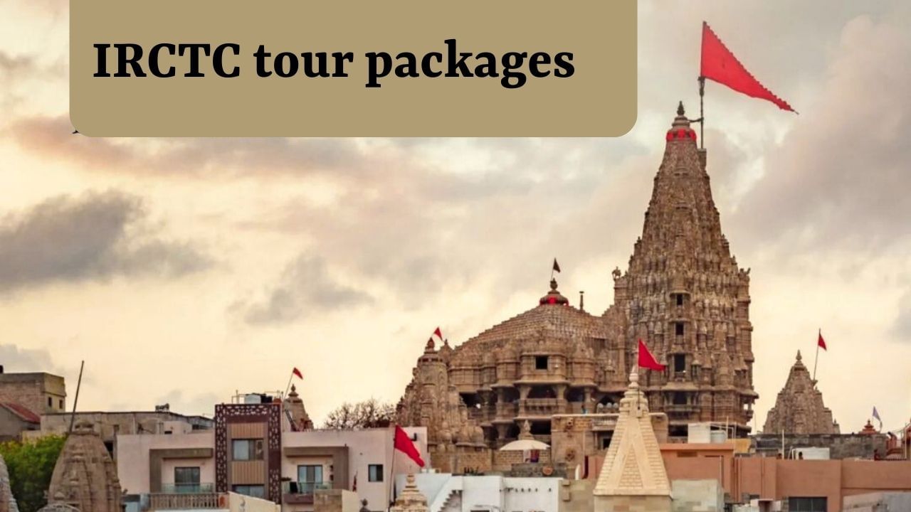 રાજકોટથી તમને દ્વારકા લઈ જવામાં આવશે.સવારે રાજકોટ રેલ્વે સ્ટેશન/એરપોર્ટ/બસ સ્ટેન્ડથી પિક-અપ કરવામાં આવશે. દ્વારકા પહોંચ્યા પછી હોટેલમાં ચેક-ઇન, ફ્રેશ થઈ અને આરામ કરી. સાંજે દ્વારકાધીશ મંદિર અને ગોમતી ઘાટની મુલાકાત. રાત્રિભોજન અને રાત્રિ રોકાણ હોટેલમાં આપવામાં આવશે.
