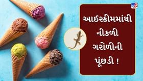 મણિનગરમાં પ્રસિદ્ધ બ્રાન્ડની આઈસ્ક્રીમમાંથી નીકળી ગરોળીની પૂંછડી ! મણિનગરમાં પ્રસિદ્ધ બ્રાન્ડની આઈસ્ક્રીમમાંથી નીકળી ગરોળીની પૂંછડી !