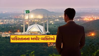 પહેલગામ હુમલાના બરાબર 15 દિવસ પછી ભારતે પાકિસ્તાનમાં આતંકવાદીઓ પાસેથી બદલો લીધો છે. આ વાત ભારત દ્વારા ઓપરેશન સિંદૂર હેઠળ કરવામાં આવેલા ચોક્કસ બદલો લેવાના હવાઈ હુમલા દ્વારા આપવામાં આવી હતી. પરંતુ શું તમે જાણો છો કે ગરીબ દેશ પાકિસ્તાનમાં પણ ઘણા અમીર લોકો છે. શાહિદ ખાન પાકિસ્તાનના સૌથી ધનિક વ્યક્તિ છે. આજે આ સમાચારમાં અમે તમને પાકિસ્તાનના ટોચના 10 સૌથી ધનિક લોકોની કુલ સંપત્તિ વિશે જણાવવા જઈ રહ્યા છીએ.