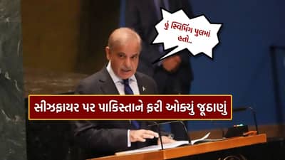 હું સ્વિમિંગ પુલમાં હતો.. મુનીરનો ફોન આવ્યો, ભારત સાથે યુદ્ધવિરામ પર જૂઠાણું ઓકી રહ્યા હતા શાહબાઝ, પાકિસ્તાનીઓએ જ કર્યો પર્દાફાશ, જુઓ Video