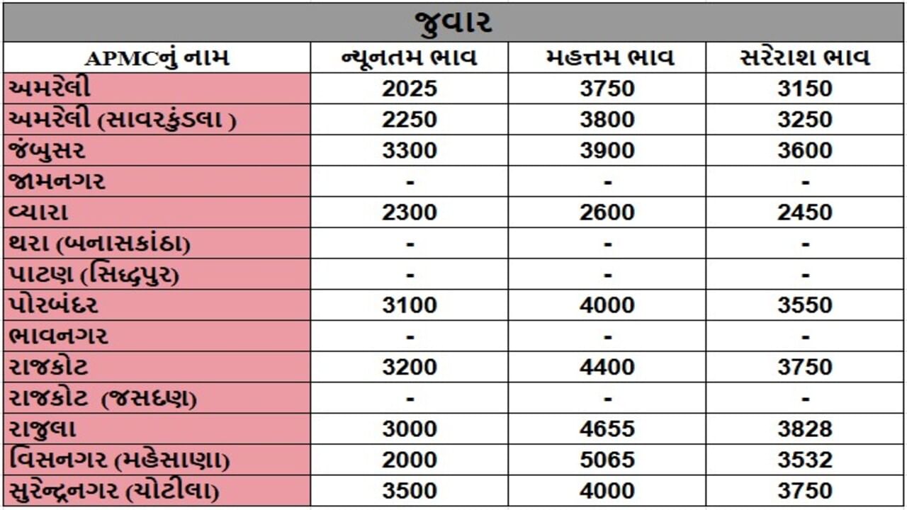 જુવારના તા.16-05-2025ના રોજ APMCના ભાવ રૂ.2000 થી 5065 રહ્યા.