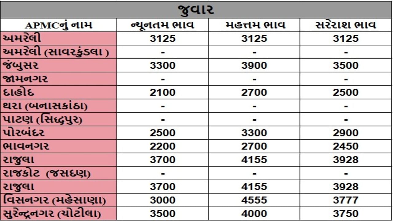 જુવારના તા.09-05-2025ના રોજ APMCના ભાવ રૂ.2100 થી 4555 રહ્યા.