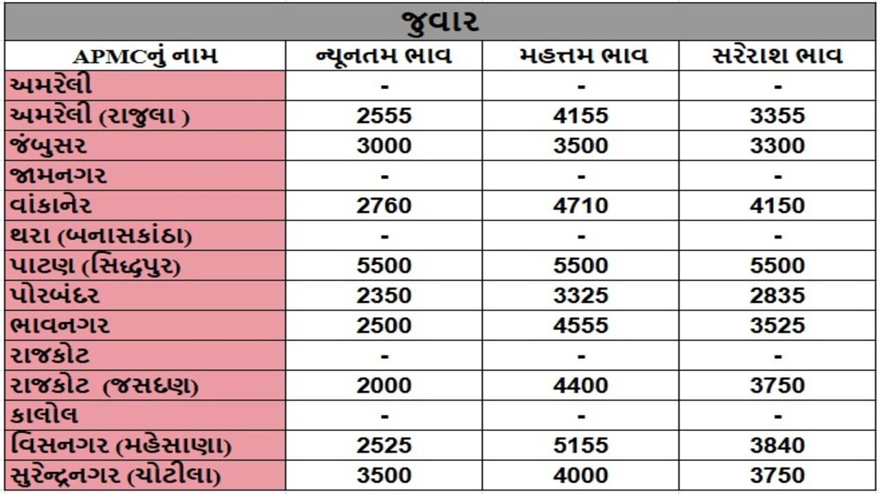 જુવારના તા.13-05-2025ના રોજ APMCના ભાવ રૂ.2000 થી 5500 રહ્યા.
