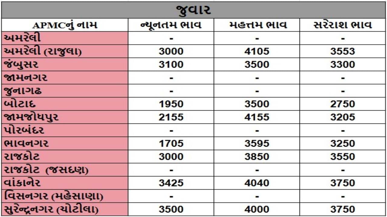 જુવારના તા.30-04-2025ના રોજ APMCના ભાવ રૂ.1705 થી 4155 રહ્યા.