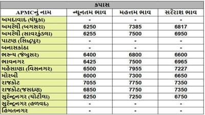 કપાસના તા.01-05-2025ના રોજ APMCના ભાવ રૂ.6000 થી 7955 રહ્યા.
