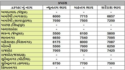 કપાસના તા.16-05-2025ના રોજ APMCના ભાવ રૂ.5500 થી 7000 રહ્યા.