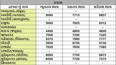કપાસના તા.20-05-2025ના રોજ APMCના ભાવ રૂ.4400 થી 7980 રહ્યા.