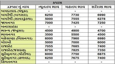 કપાસના તા.21-05-2025ના રોજ APMCના ભાવ રૂ.3500 થી 7960 રહ્યા.
