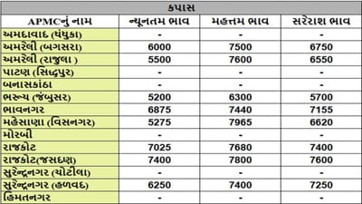 કપાસના તા.22-05-2025ના રોજ APMCના ભાવ રૂ.5200 થી 7965 રહ્યા.