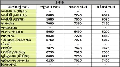 કપાસના તા.23-05-2025ના રોજ APMCના ભાવ રૂ.5000 થી 7975 રહ્યા.