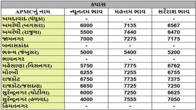 કપાસના તા.27-05-2025ના રોજ APMCના ભાવ રૂ.5000 થી 7775 રહ્યા.