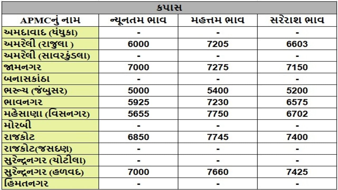 કપાસના તા.28-05-2025ના રોજ APMCના ભાવ રૂ.5000 થી 7750 રહ્યા.