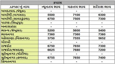 કપાસના તા.29-05-2025ના રોજ APMCના ભાવ રૂ.3750 થી 7680 રહ્યા.