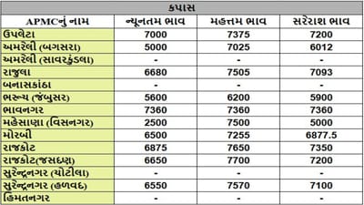 કપાસના તા.30-05-2025ના રોજ APMCના ભાવ રૂ.2500 થી 7700 રહ્યા.