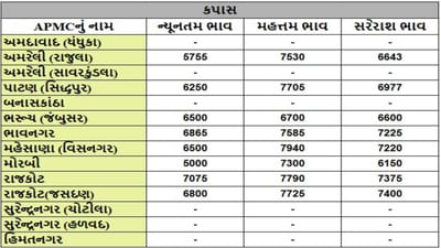 કપાસના તા.02-05-2025ના રોજ APMCના ભાવ રૂ.5000 થી 7940 રહ્યા.