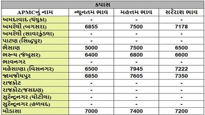 કપાસના તા.08-05-2025ના રોજ APMCના ભાવ રૂ.5000 થી 7945 રહ્યા.