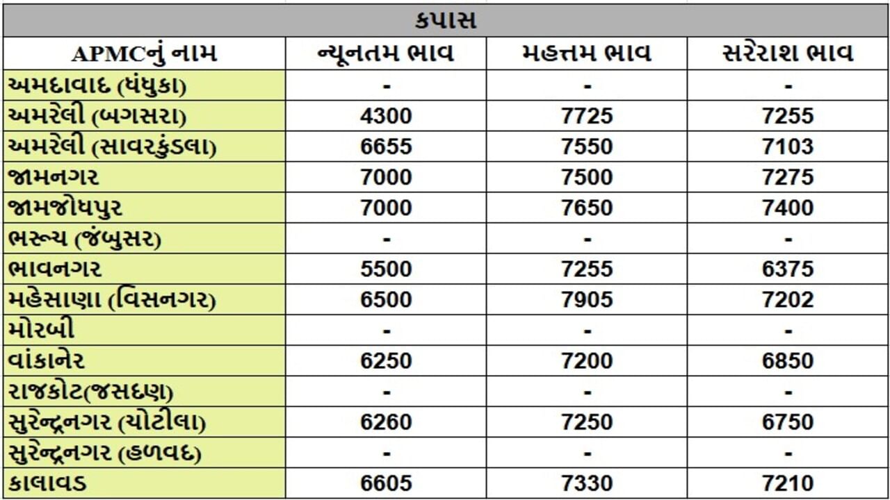 કપાસના તા.10-05-2025ના રોજ APMCના ભાવ રૂ.4300 થી 7905 રહ્યા.