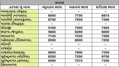 કપાસના તા.13-05-2025ના રોજ APMCના ભાવ રૂ.5180 થી 8000 રહ્યા.