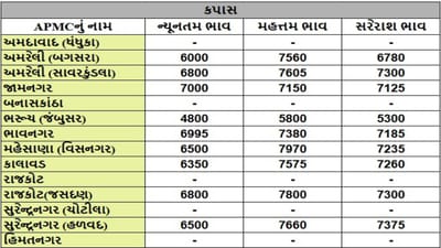 કપાસના તા.14-05-2025ના રોજ APMCના ભાવ રૂ.4800 થી 7970 રહ્યા.