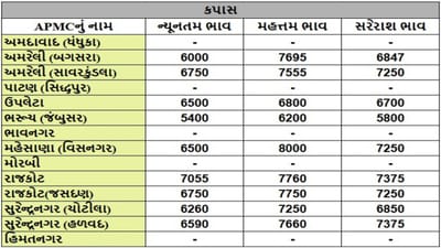 કપાસના તા.15-05-2025ના રોજ APMCના ભાવ રૂ.5400 થી 8000 રહ્યા.