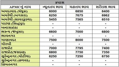કપાસના તા.30-04-2025ના રોજ APMCના ભાવ રૂ.5455 થી 8000 રહ્યા.