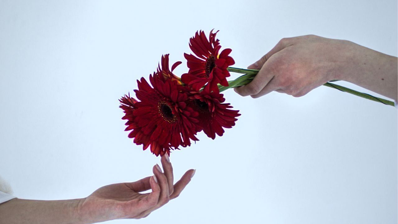 ગર્લફ્રેન્ડ કે બોયફ્રેન્ડ એક-બીજાની સંપત્તિના કાનુની વારસદાર હોતા નથી. જ્યાં સુધી કોઈ (Will) ન હોય. કે પછી કાયદેસર લગ્ન ન થયા હોય.