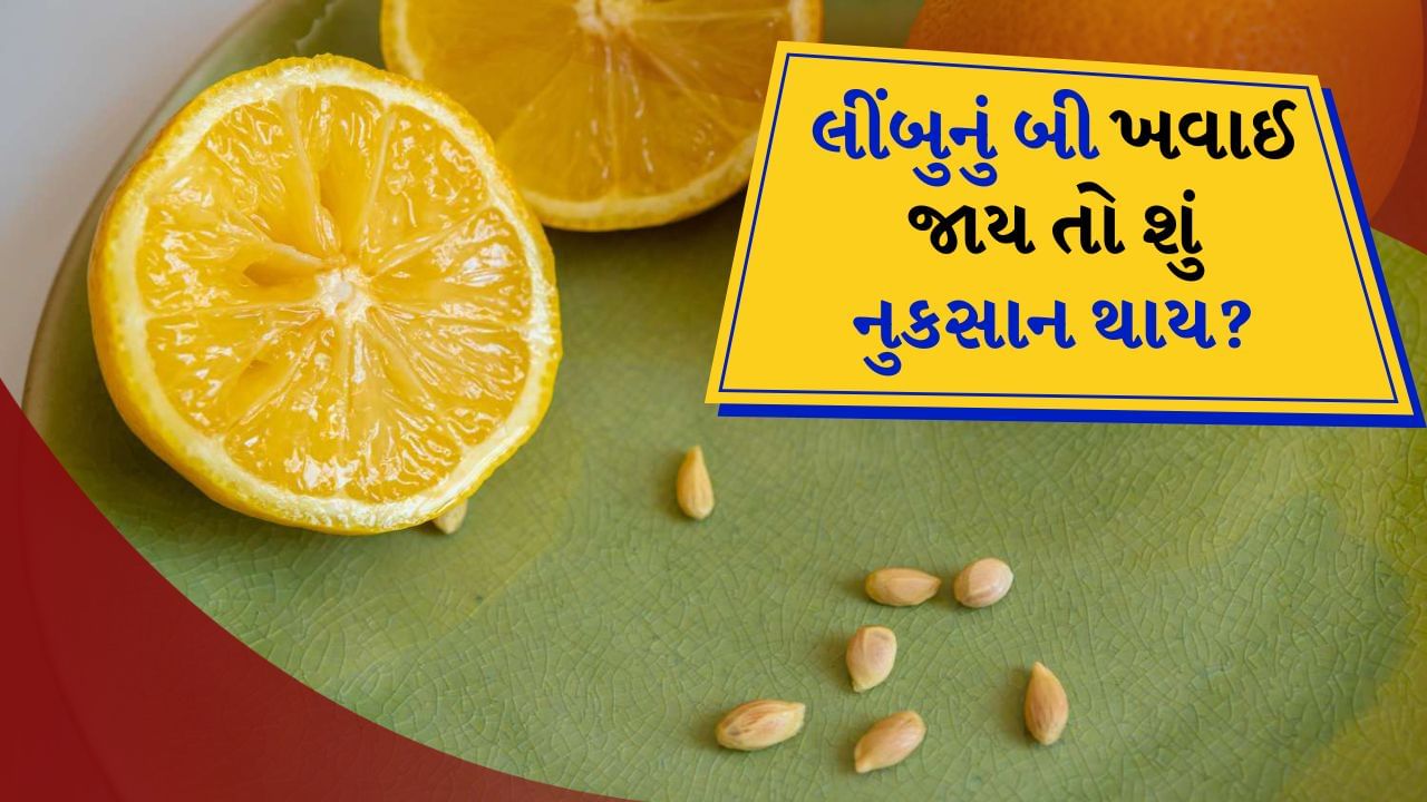 જો તમે લીંબુનું બી ચાવી જાવ છો તો તે લીંબુના બીજ તમને કોઈ નુકસાન પહોંચાડશે નહીં કે કોઈ પોષણ પણ આપશે નહીં.