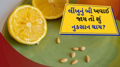 જો તમે લીંબુનું બી ચાવી જાવ છો તો તે લીંબુના બીજ તમને કોઈ નુકસાન પહોંચાડશે નહીં કે કોઈ પોષણ પણ આપશે નહીં.