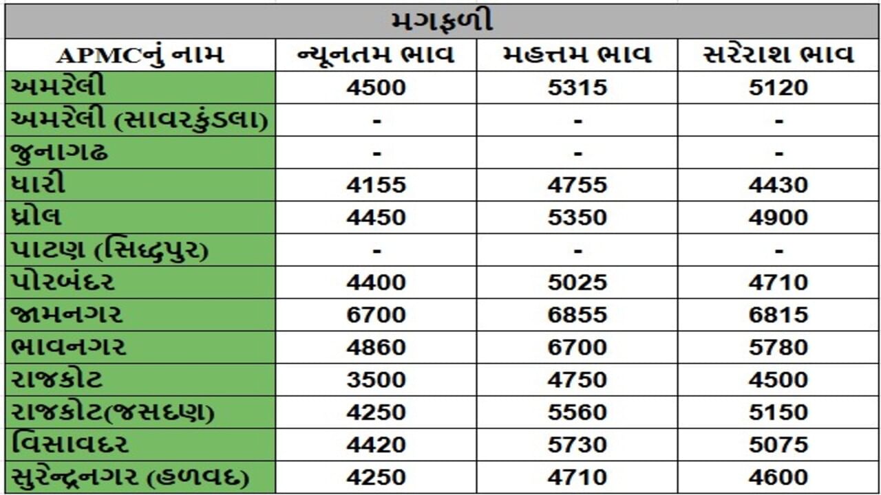 મગફળીના તા.21-05-2025ના રોજ APMCના ભાવ રૂ.3500 થી 6855 રહ્યા.
