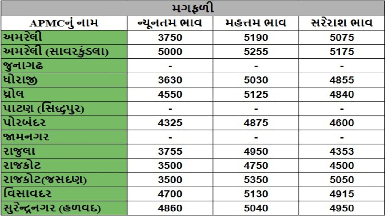 મગફળીના તા.15-05-2025ના રોજ APMCના ભાવ રૂ.3500 થી 5350 રહ્યા.