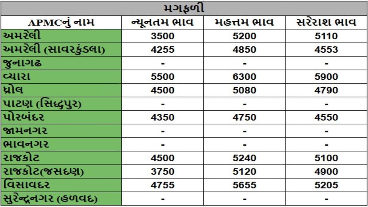 મગફળીના તા.30-04-2025ના રોજ APMCના ભાવ રૂ.3500 થી 6300 રહ્યા.