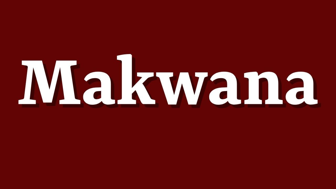 કેટલાક પાટીદારો (પટેલ) ની અટક "મકવાણા" પણ છે, જેઓ મૂળ ખેડૂત વર્ગમાંથી છે. આ મકવાણા પાટીદાર, કડવા અથવા લેઉવા પટેલ પેટાજૂથોમાં આવે છે. તેમણે કૃષિ, સમાજ સેવા અને વ્યવસાયમાં નોંધપાત્ર યોગદાન આપ્યું છે.