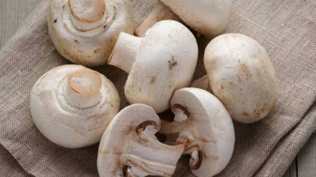 મશરૂમમાં ફોલિક એસિડ અને આયર્ન સારી માત્રામાં જોવા મળે છે, જે હિમોગ્લોબિનનું સ્તર વધારવામાં મદદ કરી શકે છે. તેમજ મશરૂમમાં કેલરી અને ચરબી ઓછી હોય છે. જેના દ્વારા વજન નિયંત્રિત કરી શકાય છે.