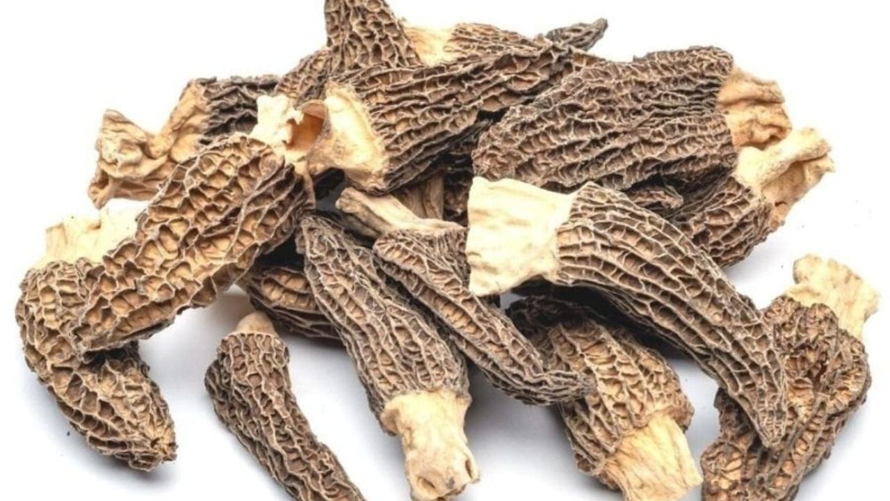 ડાયાબિટીસના દર્દીઓ માટે મશરૂમ સારા માનવામાં આવે છે. કારણ કે તેમાં કાર્બોહાઇડ્રેટ્સની સાથે ખાંડના સ્તરને નિયંત્રિત કરવાના ગુણો પણ છે.