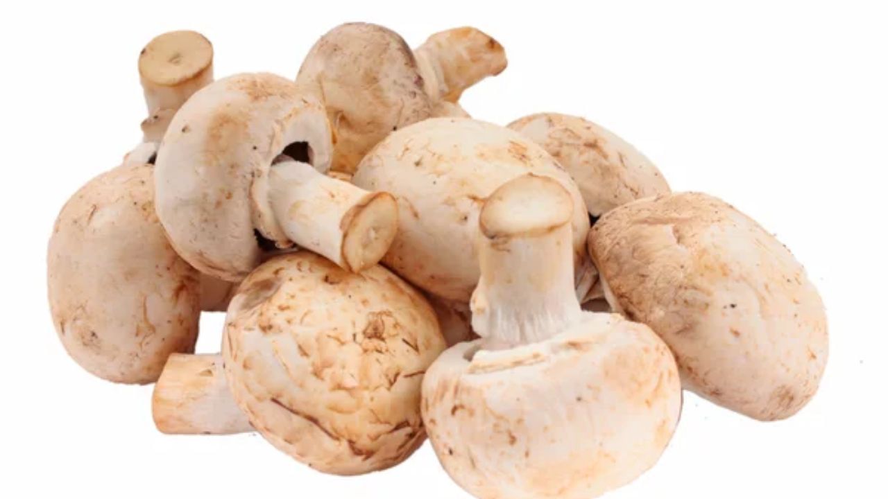 મશરૂમ હૃદય માટે ખૂબ જ સારા માનવામાં આવે છે. પરંતુ તેનું સેવન મર્યાદિત માત્રામાં જ કરો. મશરૂમમાં જોવા મળતા ગુણધર્મો વાળને સ્વસ્થ રાખવામાં મદદ કરી શકે છે.