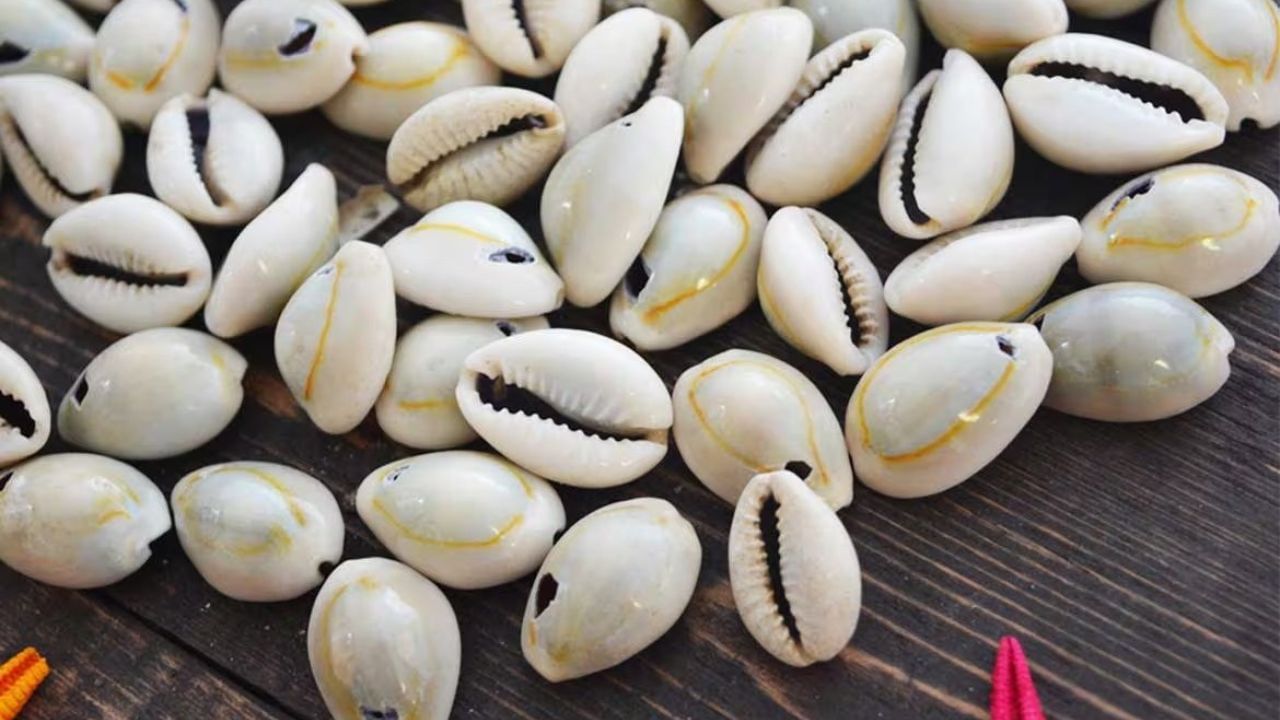 વાસ્તુ શાસ્ત્ર અનુસાર, મની પ્લાન્ટને કોડી બાંધવાથી ઘરમાં સકારાત્મક ઉર્જા આવે છે, જે ફક્ત ઝઘડા જ નહીં પરંતુ નકારાત્મકતા પણ દૂર કરે છે.  
