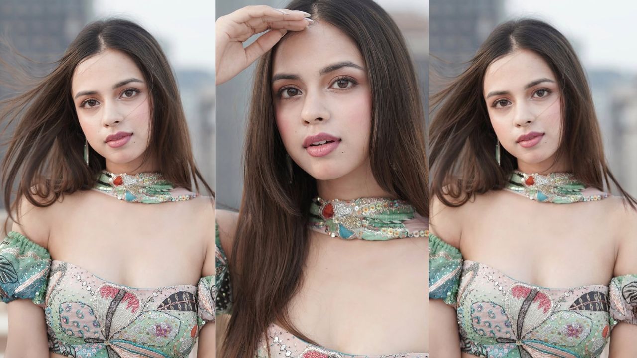 નિતાંશી ગોયલે 2024માં આમિર ખાન પ્રોડક્શન્સ દ્વારા નિર્મિત ફિલ્મ લાપતા લેડીઝ સાથે બોલિવૂડમાં મુખ્ય ભૂમિકા ભજવી હતી. આ ફિલ્મમાં તેના અભિનય માટે તેને ખુબ પ્રશંસા મળી હતી.