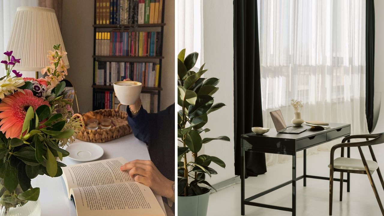 ઓફિસના ડેસ્ક પર ફૂલો રાખતી વખતે એ નિશ્ચિત કરો કે ફૂલોમાં કાંટા ન હોય. વાસ્તુ અનુસાર, ડેસ્ક પર કાંટાવાળા ફૂલો હોવું કાર્યક્ષેત્રમાં અડચણો અને અટકળોનું પ્રતિનિધિત્વ કરે છે. ખાસ કરીને જો તમે ગુલાબ જેવા ફૂલો પસંદ કરો છો, તો તેને ડેસ્ક પર મૂકતા પહેલા કાંટા હટાવી દેવા જોઈએ. (Credits: - Canva)