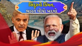 ભારતે લીધો બદલો, શું પાકિસ્તાનનું અર્થતંત્ર સિંધુ નદીમાં ડૂબશે? ભારતે લીધો બદલો, શું પાકિસ્તાનનું અર્થતંત્ર સિંધુ નદીમાં ડૂબશે?